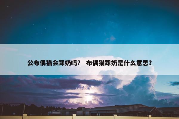 公布偶猫会踩奶吗？ 布偶猫踩奶是什么意思？