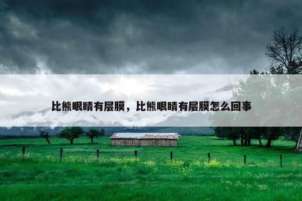 比熊眼睛有层膜，比熊眼睛有层膜怎么回事