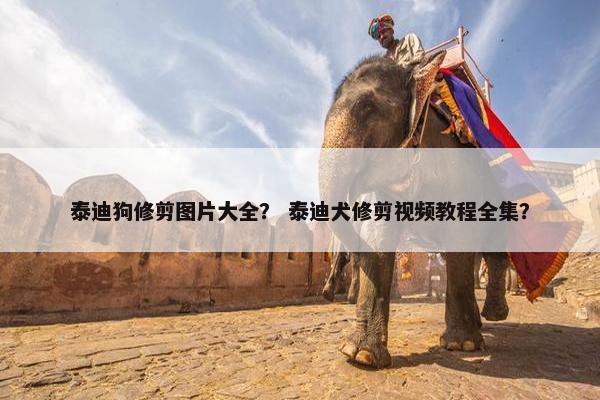 泰迪狗修剪图片大全？ 泰迪犬修剪视频教程全集？