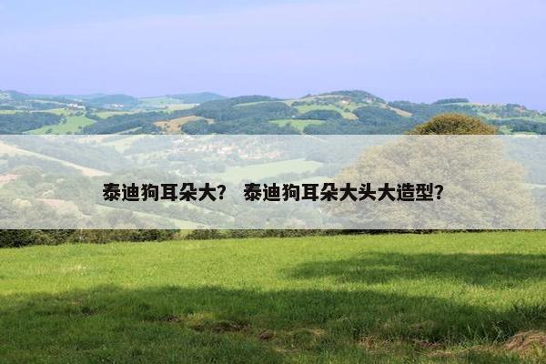 泰迪狗耳朵大？ 泰迪狗耳朵大头大造型？