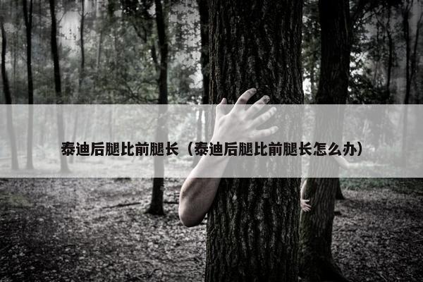 泰迪后腿比前腿长（泰迪后腿比前腿长怎么办）