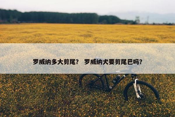 罗威纳多大剪尾？ 罗威纳犬要剪尾巴吗？