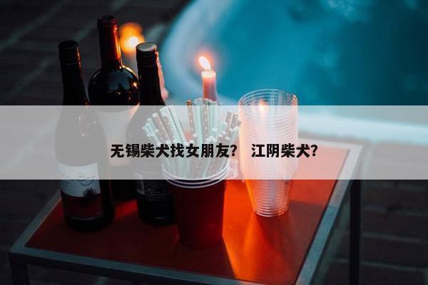 无锡柴犬找女朋友？ 江阴柴犬？