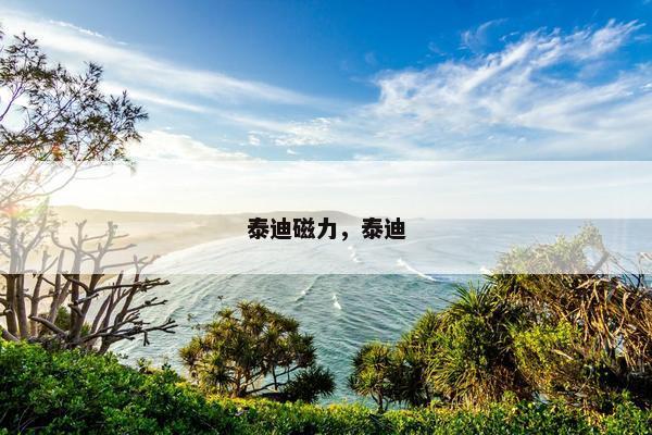 泰迪磁力，泰迪