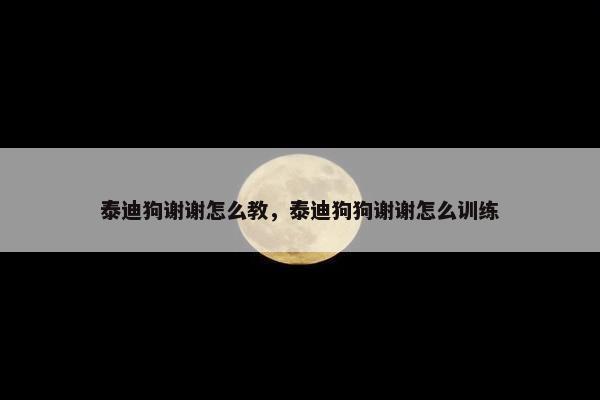 泰迪狗谢谢怎么教，泰迪狗狗谢谢怎么训练
