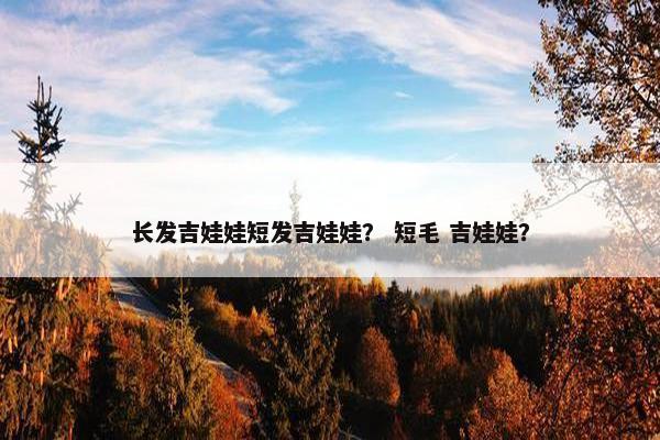 长发吉娃娃短发吉娃娃？ 短毛 吉娃娃？