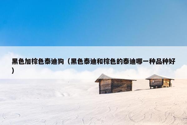 黑色加棕色泰迪狗（黑色泰迪和棕色的泰迪哪一种品种好）