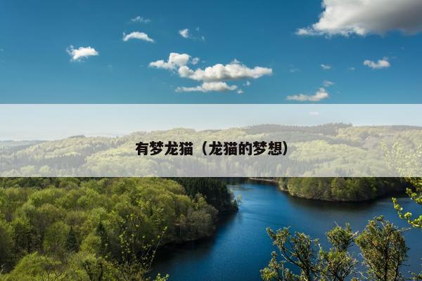有梦龙猫（龙猫的梦想）