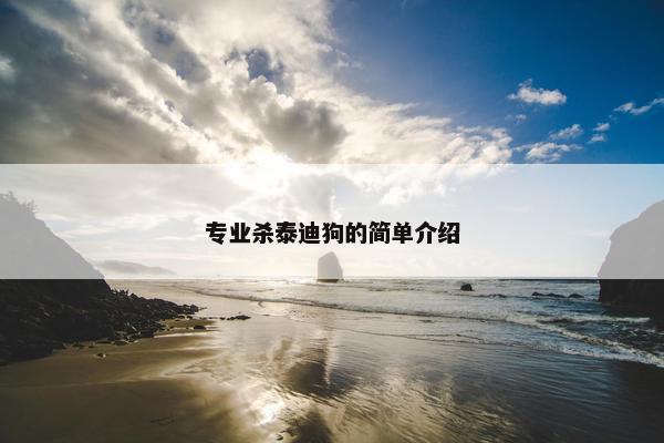 专业杀泰迪狗的简单介绍