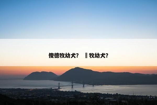傻德牧幼犬？ 徳牧幼犬？
