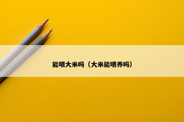 大米