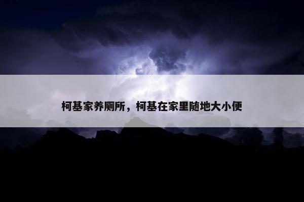 柯基家养厕所，柯基在家里随地大小便