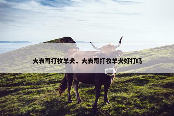 大表哥打牧羊犬，大表哥打牧羊犬好打吗