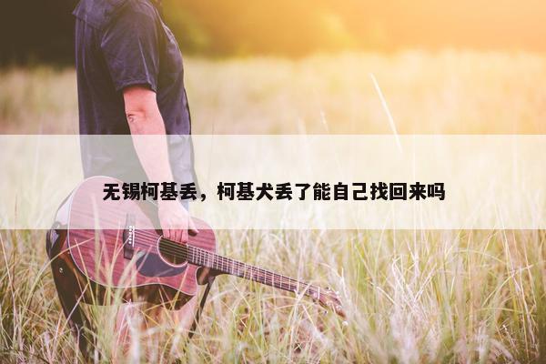 无锡柯基丢，柯基犬丢了能自己找回来吗
