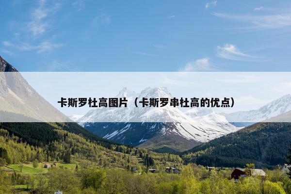 卡斯罗杜高图片（卡斯罗串杜高的优点）