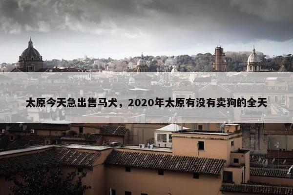 太原今天急出售马犬，2020年太原有没有卖狗的全天