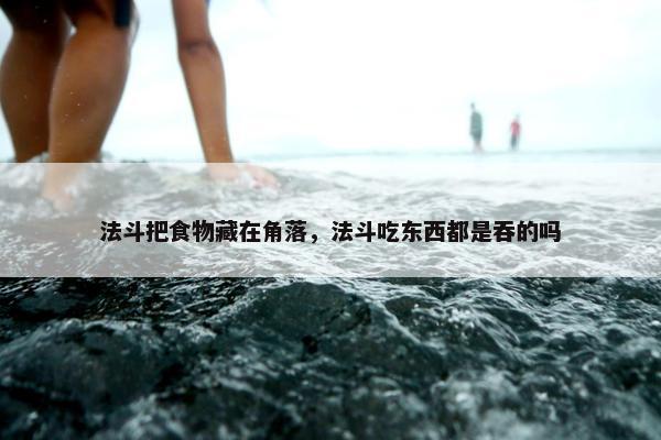 法斗把食物藏在角落，法斗吃东西都是吞的吗