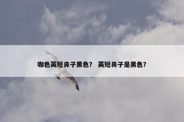咖色英短鼻子黑色？ 英短鼻子是黑色？