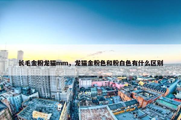 长毛金粉龙猫mm，龙猫金粉色和粉白色有什么区别