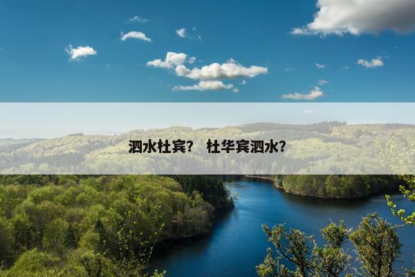泗水杜宾？ 杜华宾泗水？