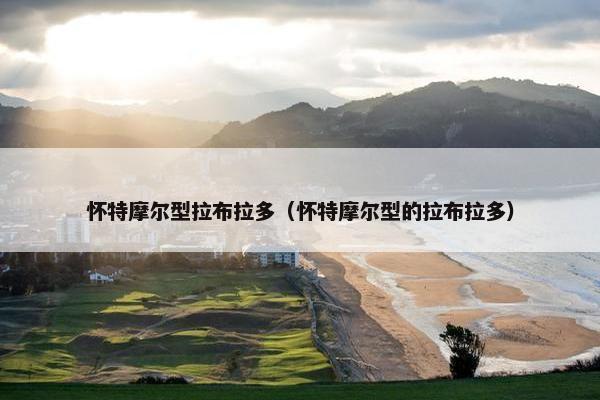 怀特摩尔型拉布拉多（怀特摩尔型的拉布拉多）