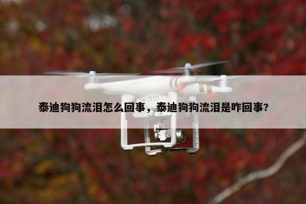 泰迪狗狗流泪怎么回事，泰迪狗狗流泪是咋回事?