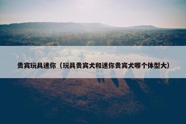 贵宾玩具迷你（玩具贵宾犬和迷你贵宾犬哪个体型大）