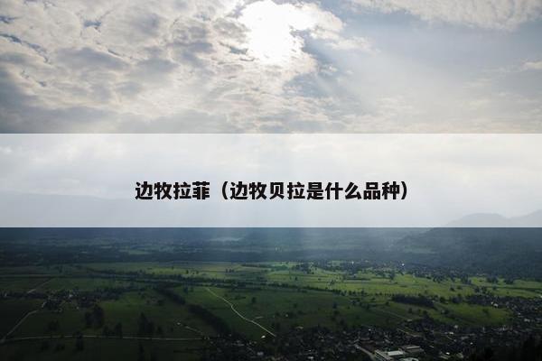 边牧拉菲（边牧贝拉是什么品种）