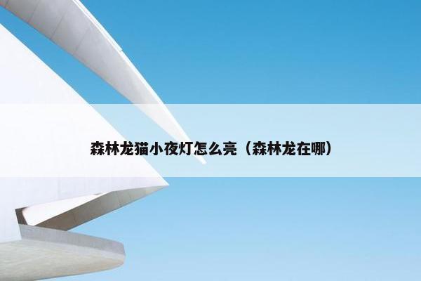 森林龙猫小夜灯怎么亮（森林龙在哪）