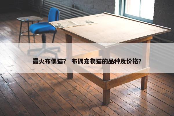 最火布偶猫？ 布偶宠物猫的品种及价格？