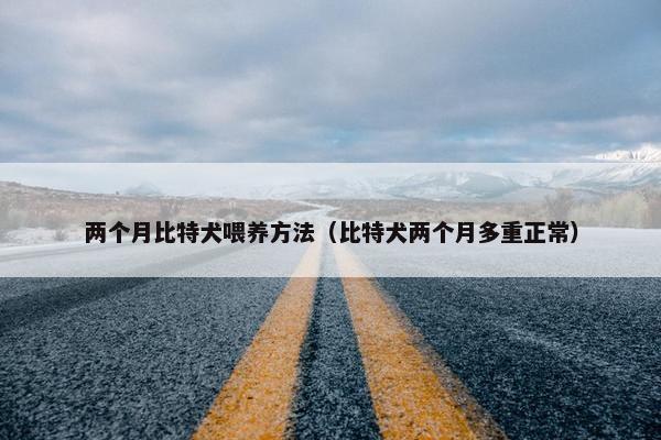 两个月比特犬喂养方法（比特犬两个月多重正常）