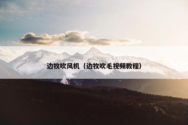 边牧吹风机（边牧吹毛视频教程）