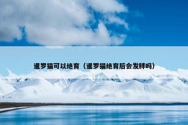 暹罗猫可以绝育（暹罗猫绝育后会发胖吗）