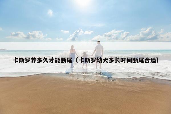 卡斯罗养多久才能断尾（卡斯罗幼犬多长时间断尾合适）