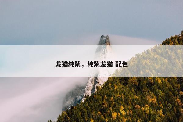 龙猫纯紫，纯紫龙猫 配色