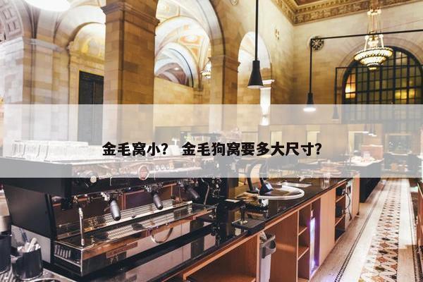 金毛窝小？ 金毛狗窝要多大尺寸？