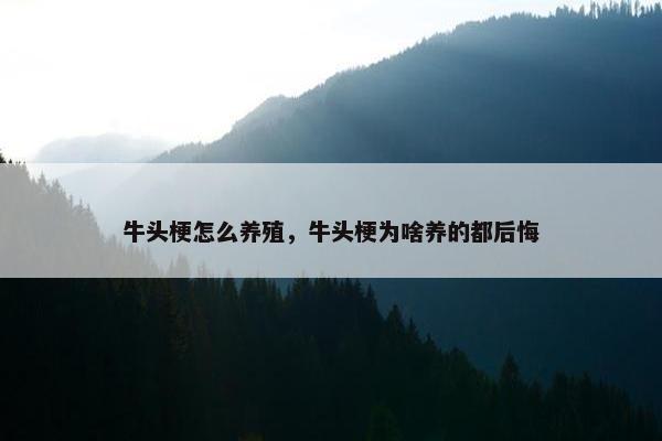 牛头梗怎么养殖，牛头梗为啥养的都后悔