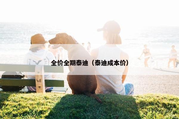全价全期泰迪（泰迪成本价）