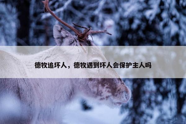 德牧追坏人，德牧遇到坏人会保护主人吗