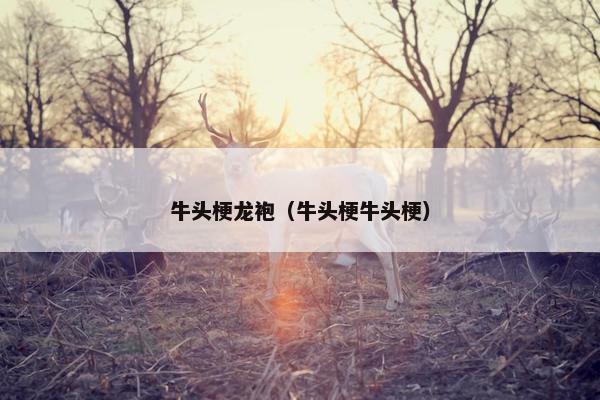 牛头梗龙袍(牛头梗牛头梗)