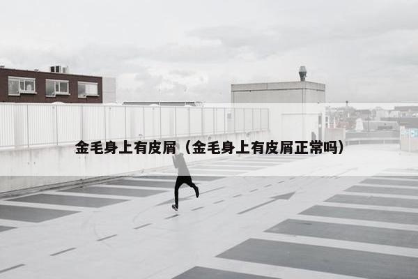 金毛身上有皮屑（金毛身上有皮屑正常吗）