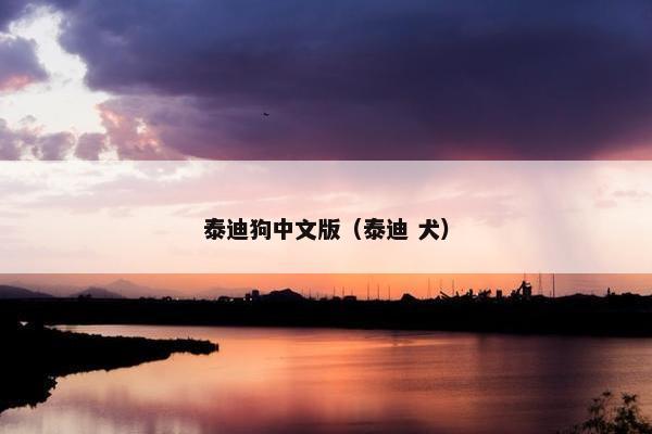 泰迪狗中文版（泰迪 犬）