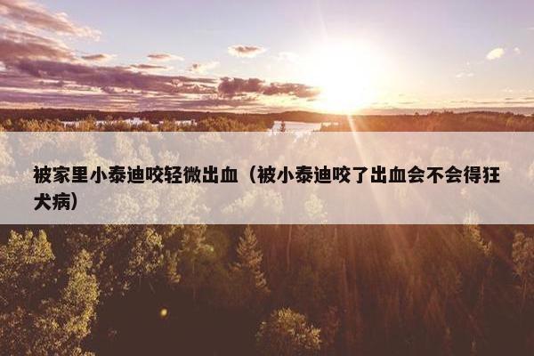 被家里小泰迪咬轻微出血(被小泰迪咬了出血会不会得狂犬病)