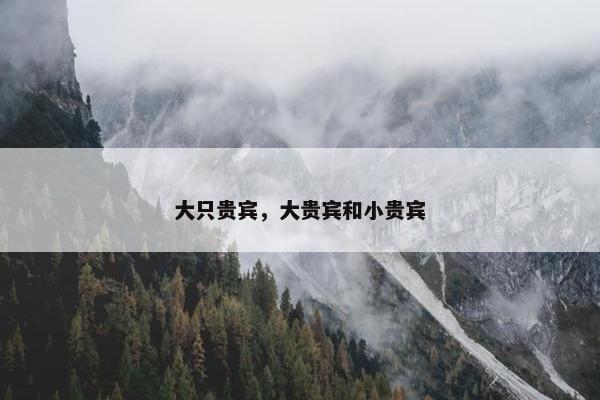 大只贵宾，大贵宾和小贵宾