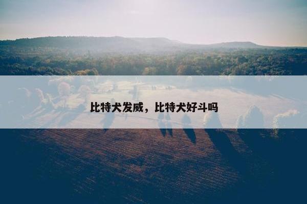比特犬发威，比特犬好斗吗