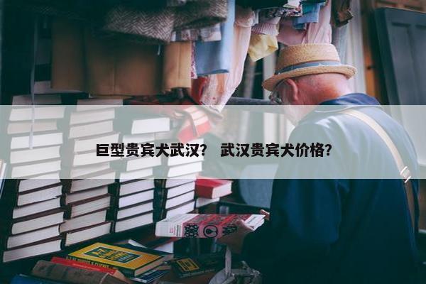巨型贵宾犬武汉？ 武汉贵宾犬价格？