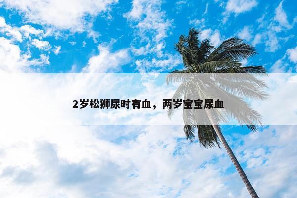 2岁松狮尿时有血，两岁宝宝尿血