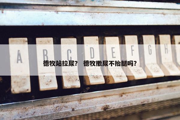 德牧站拉尿？ 德牧撒尿不抬腿吗？