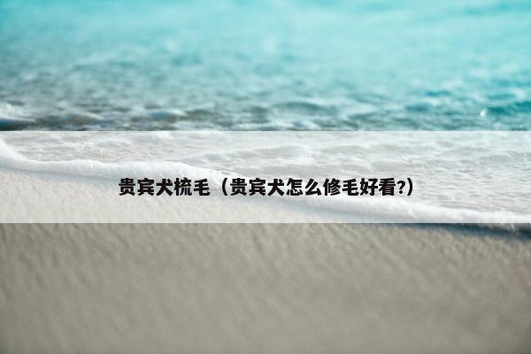贵宾犬梳毛（贵宾犬怎么修毛好看?）