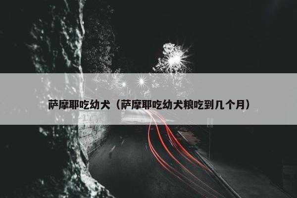 萨摩耶吃幼犬（萨摩耶吃幼犬粮吃到几个月）